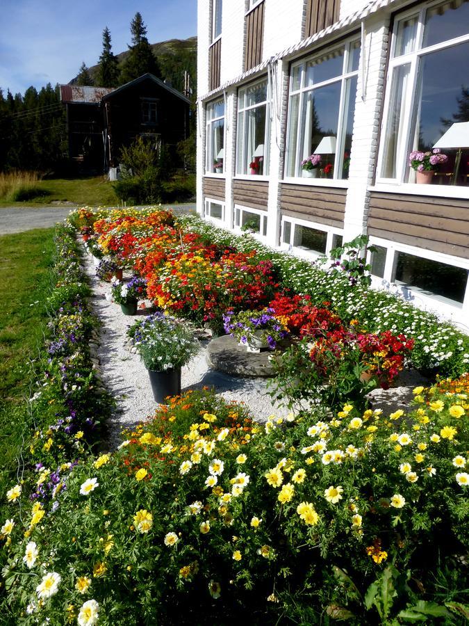 Tronsvangen Seter Alvdal Exterior foto